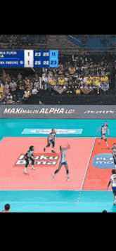 a volleyball game is being played in front of a crowd with an advertisement for aerox