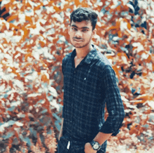 a young man in a plaid shirt stands in front of a bush