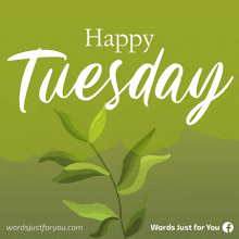 Happy Tuesday Greetings GIF - Happy Tuesday Greetings Weekday GIFs