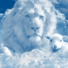 a lion and a sheep are sitting in the clouds