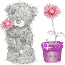 tatty teddy sparkle potted plant bear cute