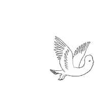 a drawing of a bird flying with its wings outstretched