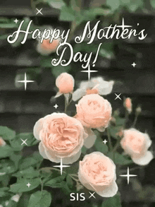 a happy mother 's day greeting card with roses and the words `` happy mother 's day ''