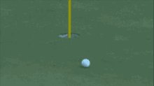 Tiger Woods GIF - Tiger Woods Golf GIFs