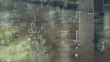 Garden Of Words Anime GIF - Garden Of Words Anime Tranquil GIFs