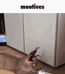 Mootives Moot GIF - Mootives Moot Floppa GIFs