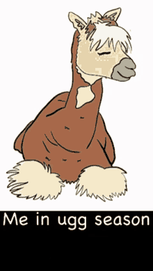 Llama Ugg GIF - Llama Ugg Fur GIFs