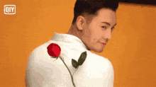 玫瑰，帅哥，陈伟霆 GIF - William Chen Rose Handsome GIFs