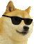 Cool Doge Dogeheadbang Sticker - Cool Doge Doge Cool Stickers