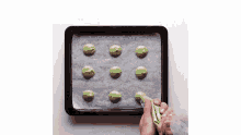 a person is piping green frosting onto a baking sheet with green cookies .