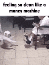 a dog standing next to a woman in a wheelchair with the caption feeling so clean like a money machine .