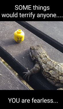 a lizard is laying on a wooden table next to a yellow lego head