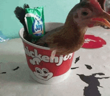 a chicken is sitting in a bucket that says chickenjoy on it
