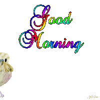 a colorful bird with the words good morning tweet tweet on the bottom