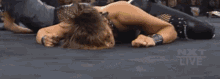 Rhea Ripley Hurt GIF - Rhea Ripley Hurt Wrestling GIFs