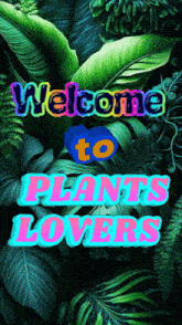 a sign that says welcome to plants lovers is surrounded by green leaves