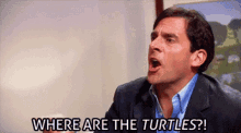 The Office Turtle GIF - The Office Turtle Michael Scott GIFs