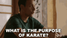 What Is The Purpose Of Karate Ralph Macchio GIF - What Is The Purpose Of Karate Ralph Macchio Daniel Larusso GIFs