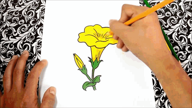 Phool ka chitra | फूल का चित्र कैसे बनाएं | Flowers drawing | FAM Pro -  YouTube