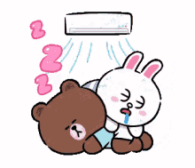 Air Conditioning Cony GIF - Air Conditioning Cony Brown GIFs
