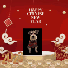 Happy Chinese New Year2023 GIF - Happy Chinese New Year2023 GIFs