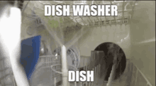 Dish Washer GIF