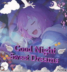 a picture of a girl sleeping with the words good night sweet dreams on it