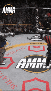a boxing ring with armored mma written on it