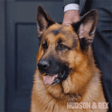 smiling rex hudson and rex good boy good dog