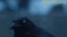 Crow Wentworth GIF - Crow Wentworth S7e2 GIFs