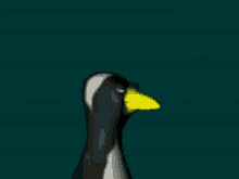 Pinguin Ente GIF - Pinguin Ente GIFs