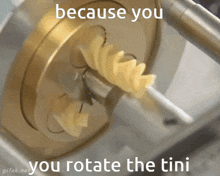 Rotini Rotate The Tini GIF