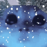 a close up of a polar bear 's face in the snow .
