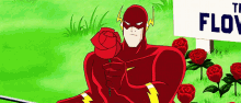 flash the flash dcau justice league flowers