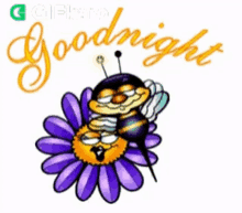 Goodnight Gifkaro GIF - Goodnight Gifkaro Bee GIFs