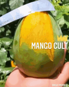 Mango Cult Ladik05 GIF