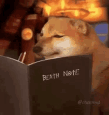 Deathnote GIF