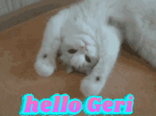 Higeri Hellogeri GIF - Higeri Hellogeri GIFs