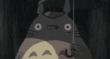 Totoro Miyazaki GIF - Totoro Miyazaki Shiver GIFs