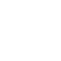 a green circle with a white circle in the middle