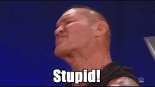Wwe Randy Orton GIF - Wwe Randy Orton Stupid Stupid Stupid GIFs