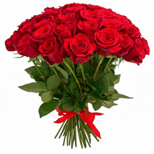a large bouquet of red roses with a red ribbon tied around them