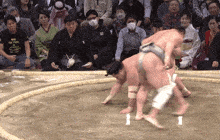 Onosho Sumo GIF - Onosho Sumo Crawling GIFs