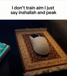 a mouse is sitting on a rug next to a keyboard with the words i don 't train aim i just say inshallah