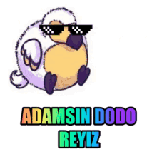 Adam Dodo GIF - Adam Dodo Unknowndodo GIFs