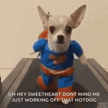 Superman Dog GIF - Superman Dog Treadmill GIFs