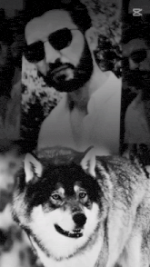 a black and white photo of a man with a beard and sunglasses and a wolf