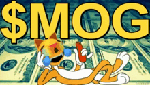 Mog Mogged GIF - Mog Mogged Mogging GIFs