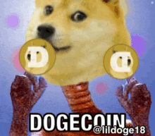 a picture of a doge with a coin on its head