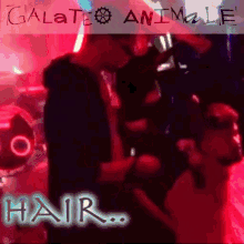 Galateo Animale Delirio GIF - Galateo Animale Delirio Haircut GIFs